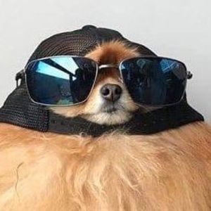 Meet your Posher, Syd